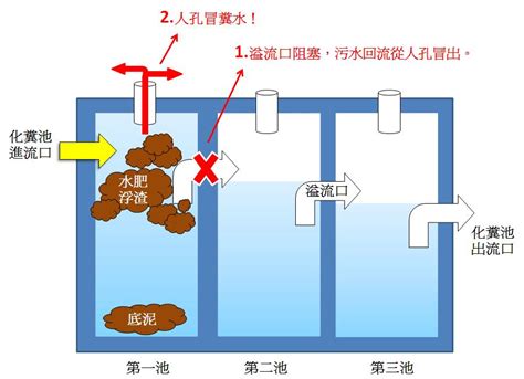 化糞池構造|化糞池